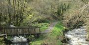 Garwnant Visitor Centre | Walking Trail