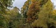 Newtown | River Severn through Dolerw Park