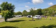 Woodlands Caravan Park electric hook up pitches