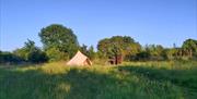 Ffynnonwen Bell tent