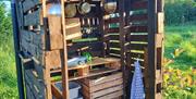 Outside camp kitchen