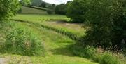 Watch the children have fun dipping in the stream or doing the treasure hunt.