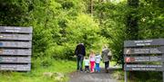 Family Walks at Coed Y Brenin