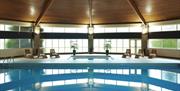 Our spa & leisure facilities offer an indoor pool with whirlpool, steam room, and sauna.