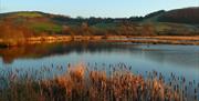 Cors Caron's autumn colours