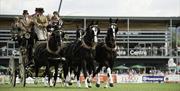 Royal Welsh Showground, Builth Wells