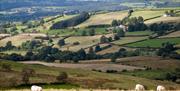 Ty Gwyn Farm with Granary Cottage can be seen in the centre of this picture. Total seclusion yet only 3 miles from attractive Victorian spa town of Ll