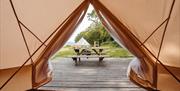 View out of the doors of bell tent