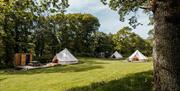 Glamping area