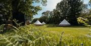 View of glamping area