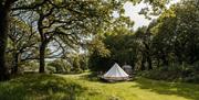 Secluded bell tent