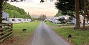 Gated entrance to touring pitches, showing dog friendly atmosphere