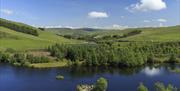 Lake and red kite feeding viewing area