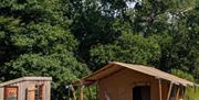 Safari tent with fire pit on patio and private kitchenette