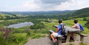 Picnic bench on walking trail