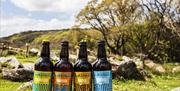 Four bottles of beer in front of a landscape.