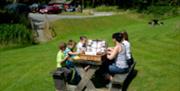 Hafren Forest | Picnic area