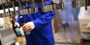 Somebody loading bottles onto the filler in our Bottling Plant.