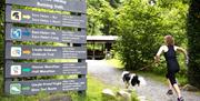 Running Trails at Coed Y Brenin