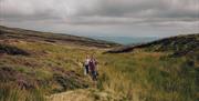 Hafren Forest | Source of the Severn Trail on Pumlumon