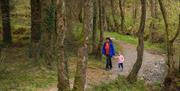 Cwm Rhaeadr Woodland