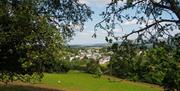 New Year Walk Guided Walk - Green Events Llanwrtyd Wells