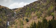 Cwm Rhaeadr Woodland