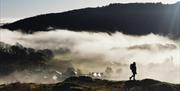 The silhouette of a woman wearing a backpack standing on a hill with a background of mist and trees in morning sunlight