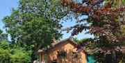 Broncoedwig self catering bungalow exterior
