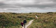 Boardwalk through the dune slacks