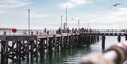 Aberdyfi Pier