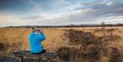 There are benches along the boardwalk to enjoy the views and spot the wildlife