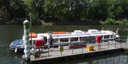 Bute Park city centre pontoon, close to Cardiff Castle