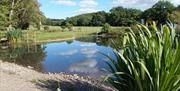 A great place to sit while you are planning how to tour, explore and enjoy beautiful Mid Wales.
