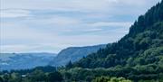 Big mountains-and-forests views in the heart of Snowdonia