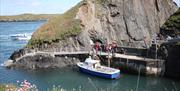 Daily ferry boat to land on Ramsey Island RSPB Nature Reserve.  Dramatic scenery, Choughs and Peregrine falcons.  Seabird colonies on the high cliffs