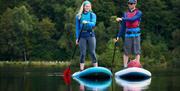 palm equipment paddleboarding accessories