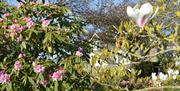 Garden at Hendy Farm B & B