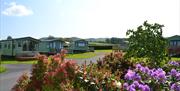 Gellidywyll holiday home park