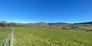 Hafan y Mynydd camping pitch, Dulas Glamping