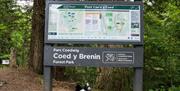 Coed Y Brenin