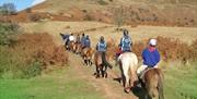 Llangorse Riding & Trekking in the Brecon Beacons