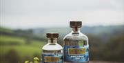 Damhile Distillery, Llandysul, Ceredigion
