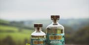 Damhile Distillery, Llandysul, Ceredigion