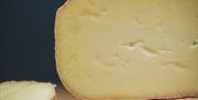 Celtic Promise Caws Teifi Cheese