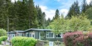 Hafren Forest Hideaway Bed and Breakfast, for solo travellers and small groups