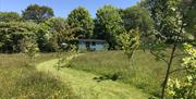 Wild Meadow Camping and Glamping - Shepherd hut from the meadow