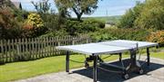 Table tennis in the Garden