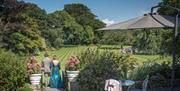 Plas Dinas Country House Caernarfon
