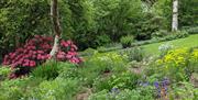 Green lawn on a slope surrounded by spring flower beds